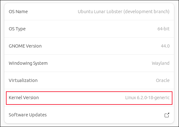 The kernel version displayed in the Settings application's About pane